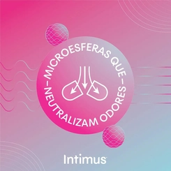 Absorvente Intimus Toda Renovada Suave Com Abas 28 unidades