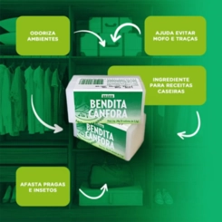 CANFORA CHINESA  BRAVIR UNIDADE