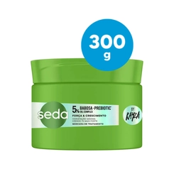 MASCARA DE TRATAMENTO SEDA RAYZA FORCA CRESCIMENTO 300G