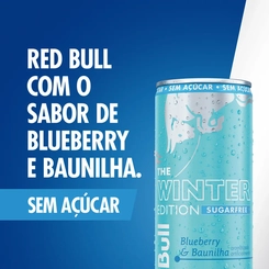Energético Red Bull Sugarfree Winter Blueberry e Baunilha 250ml
