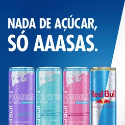 Energético Red Bull Sugarfree Winter Blueberry e Baunilha 250ml